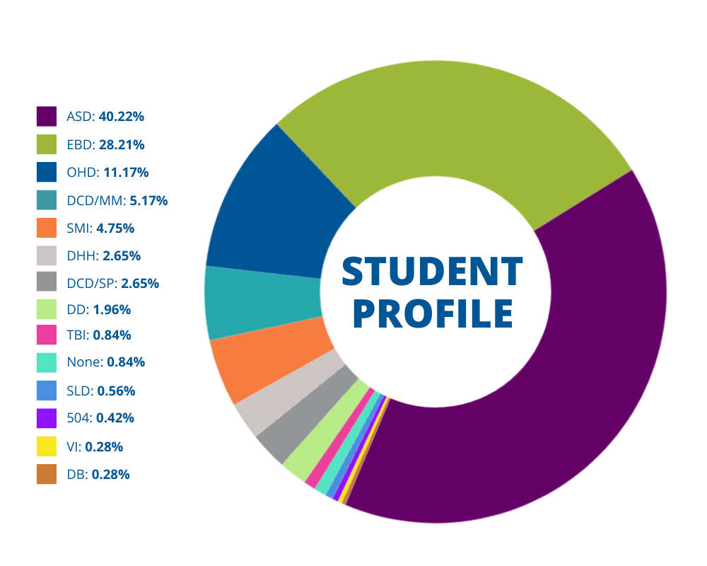 Annual Report GFX - SPED Student Profile